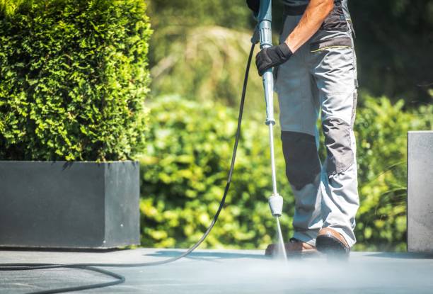 Reliable Piney Mountain, VA  Pressure Washing Services Solutions
